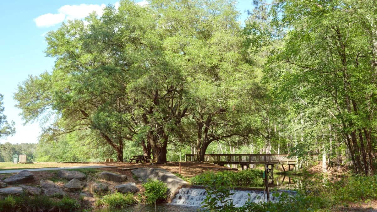 Charlotte Travel Guide Overview