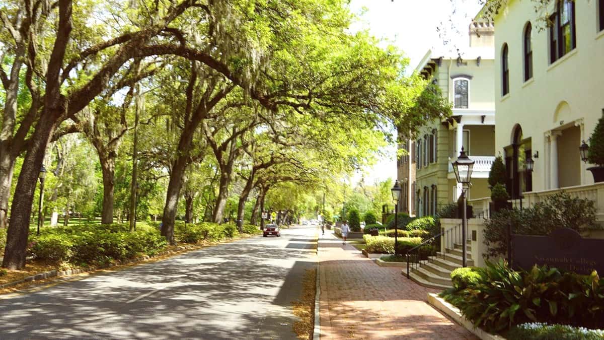 Best Time to Visit Savannah