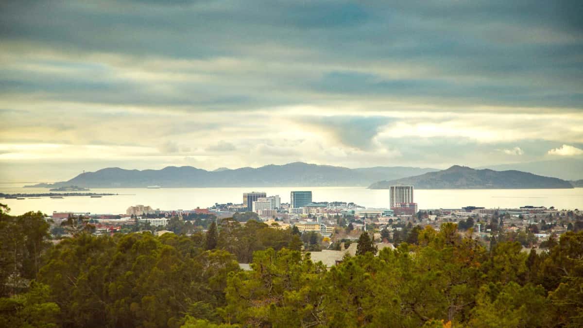 Best Restaurants in Berkeley