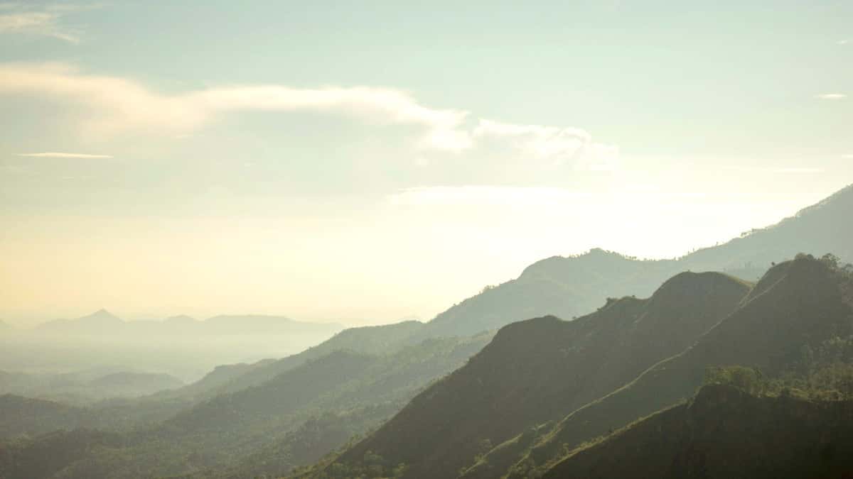 Things to Do in Mirissa