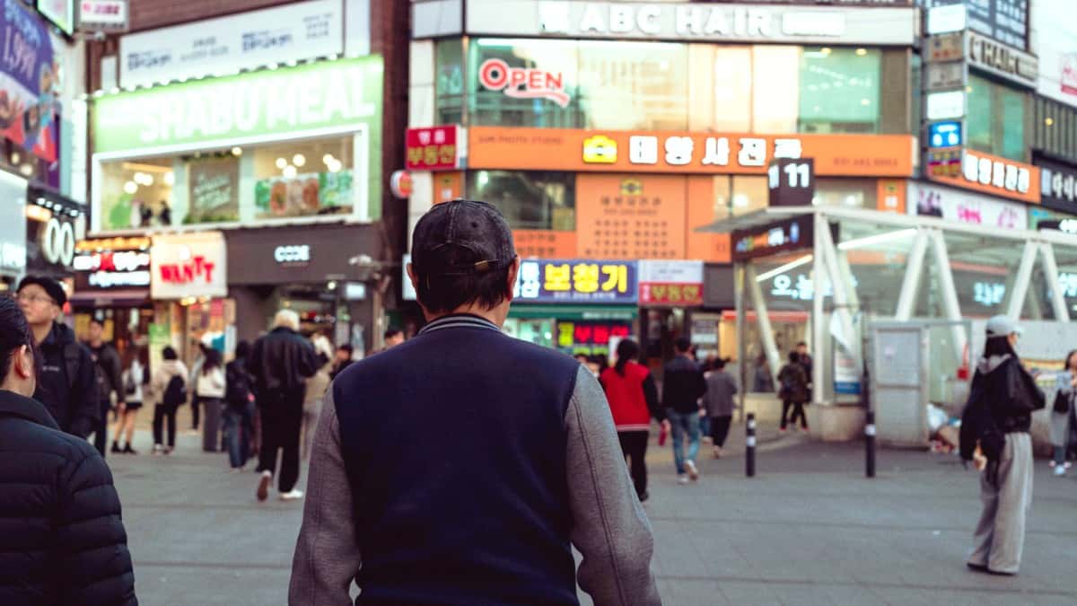 Suwon Travel Guide Overview