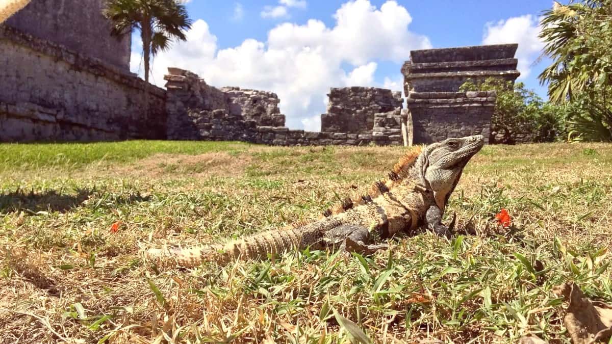 Why Visit Veracruz? Inspiration, Culture, Unique Experiences