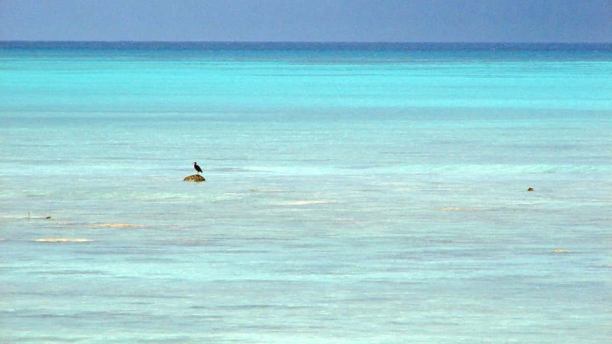 How to Get to Havelock Island