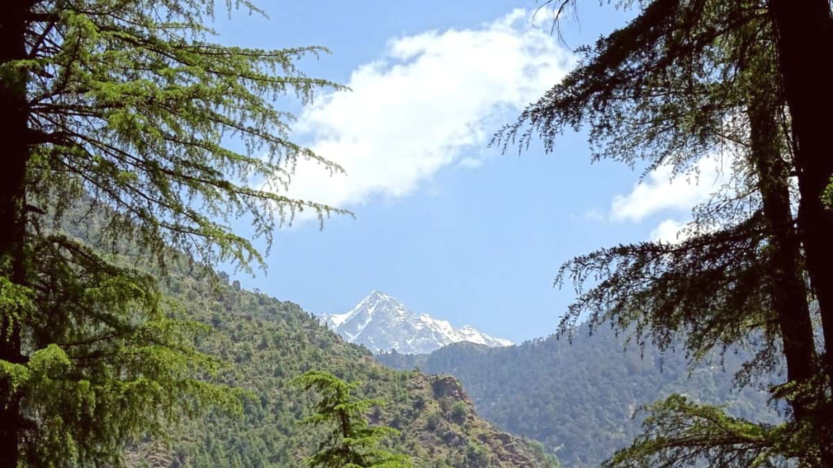 How to Get to Mcleod Ganj