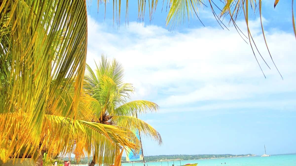 Famous Landmarks in Port Antonio