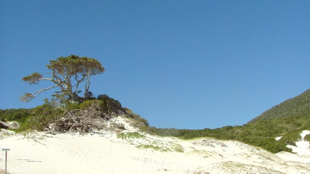Things to Do in Buzios