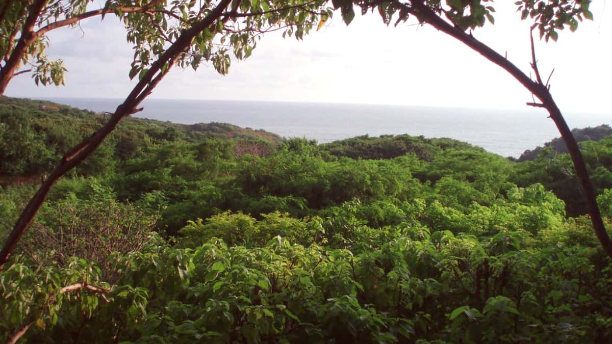 Things to Do in Mazunte