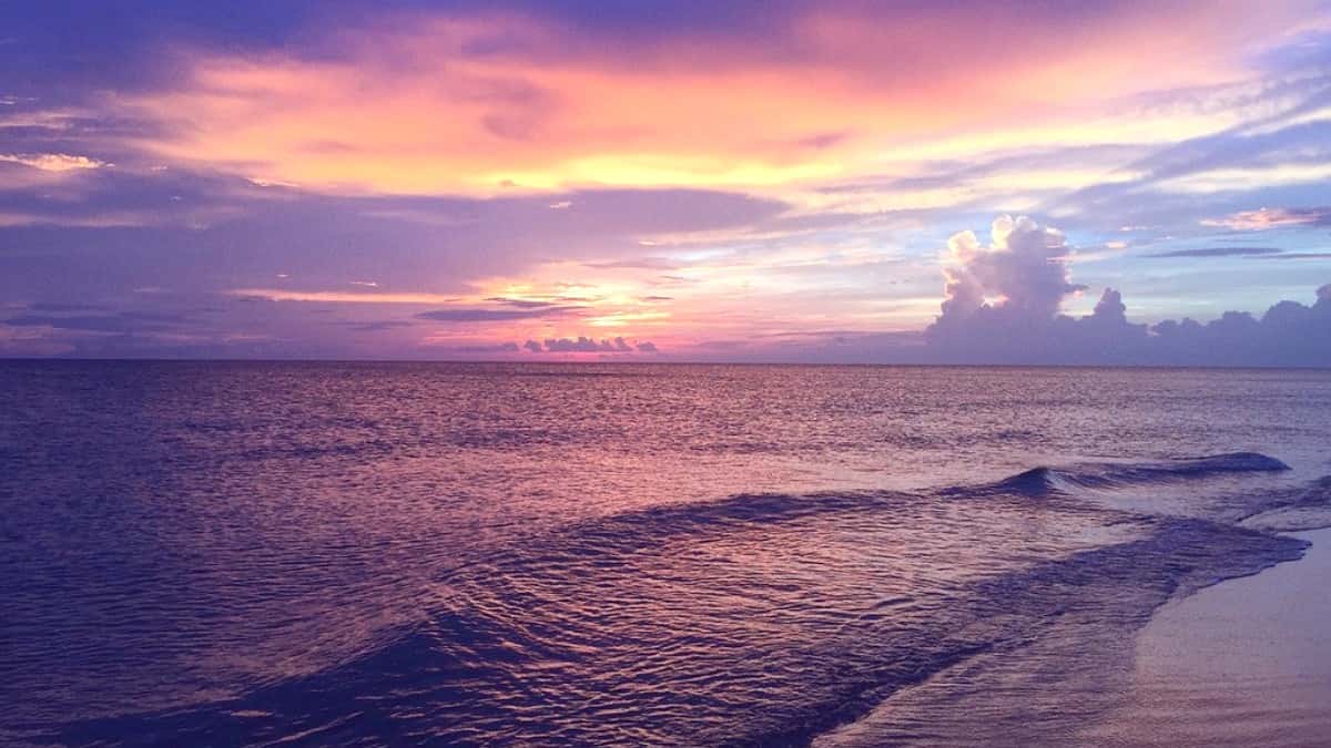 Best Restaurants in Culebra