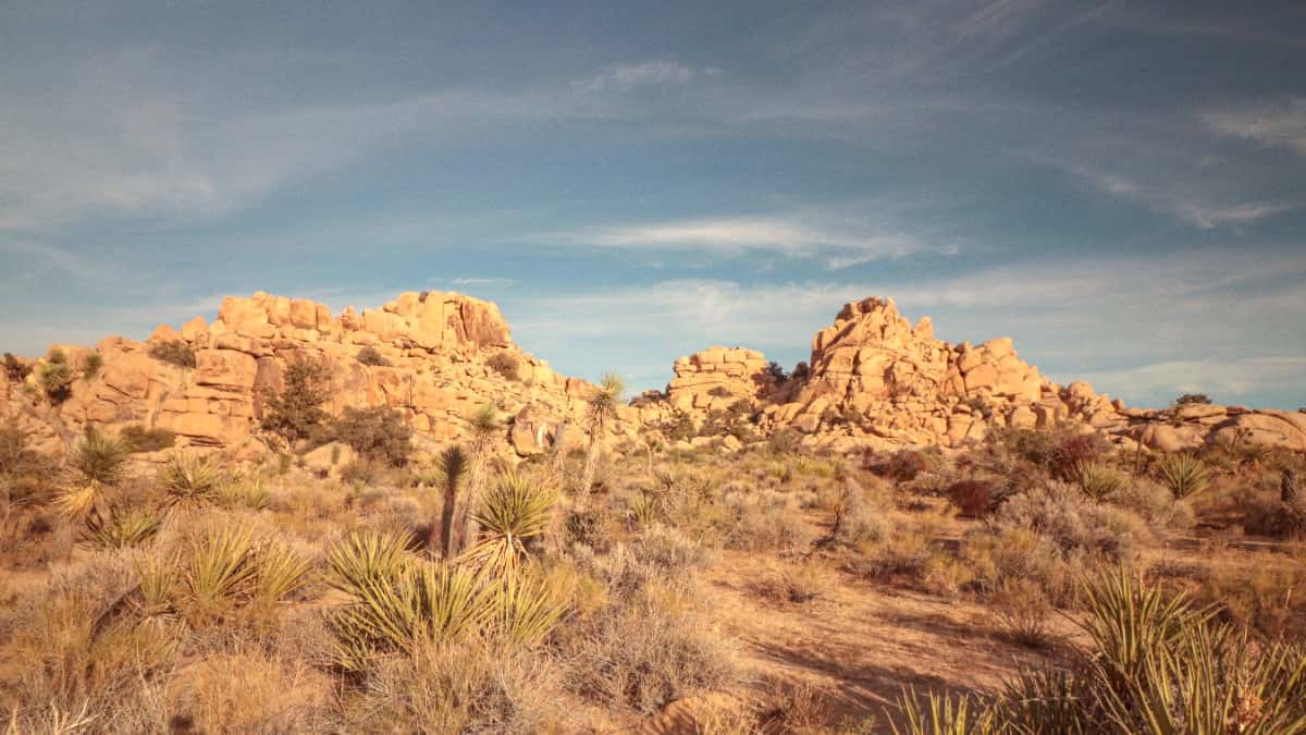 How to Get to Joshua Tree National Park