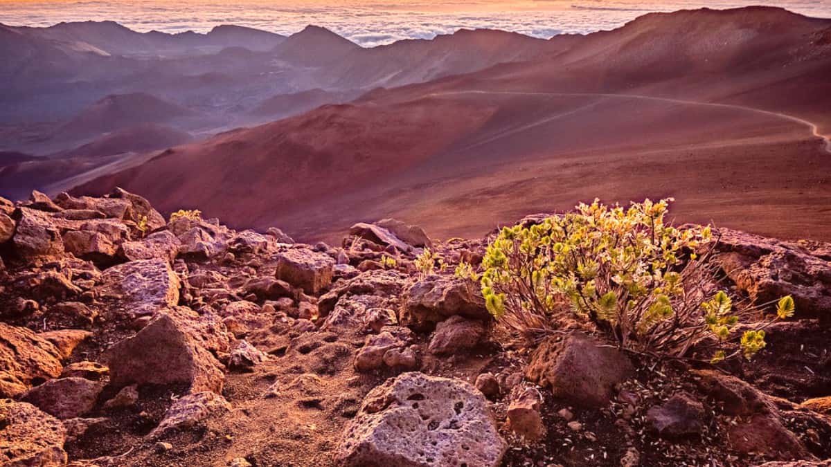 Haleakala National Park Travel Hacks