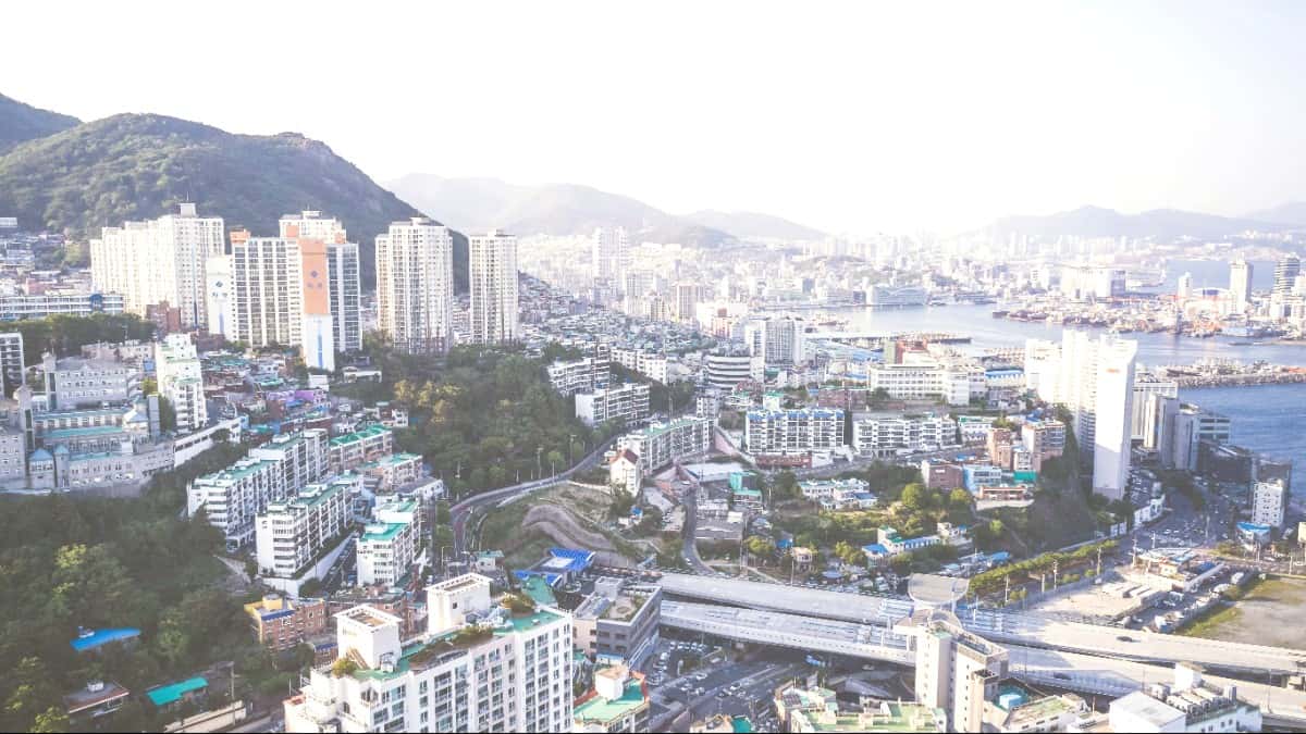 Best Time to Visit Busan