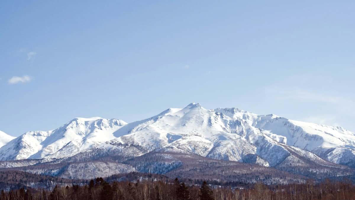 Best Restaurants in Sapporo