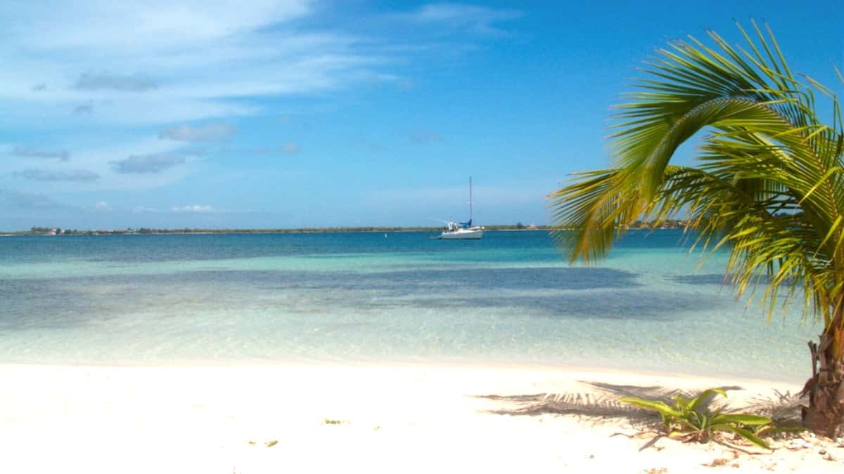 Utila Travel Guide Overview