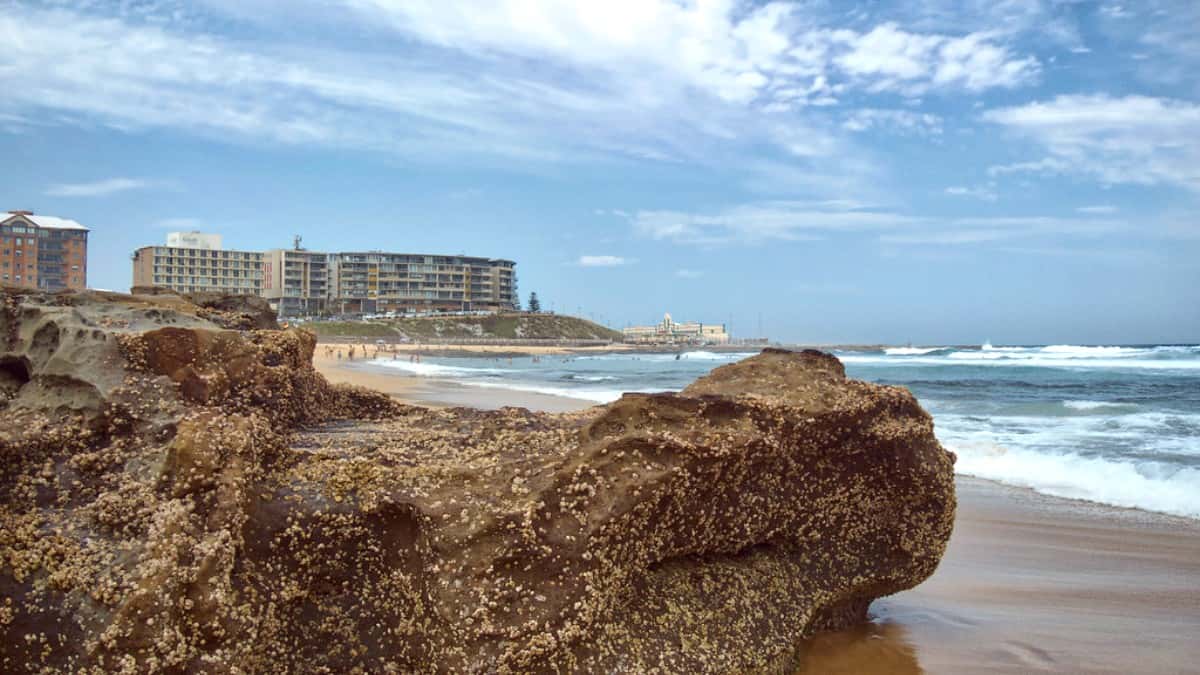 Best Restaurants in Newcastle