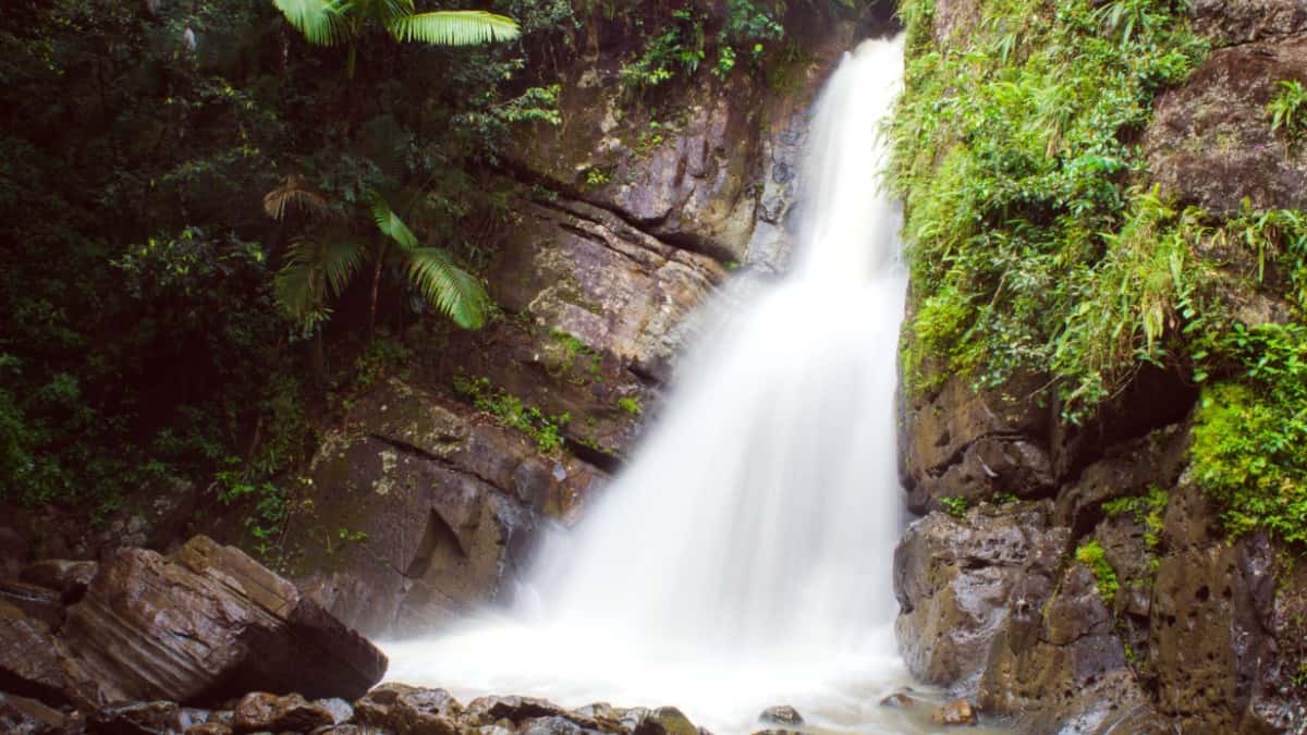 Things to Do in El Yunque
