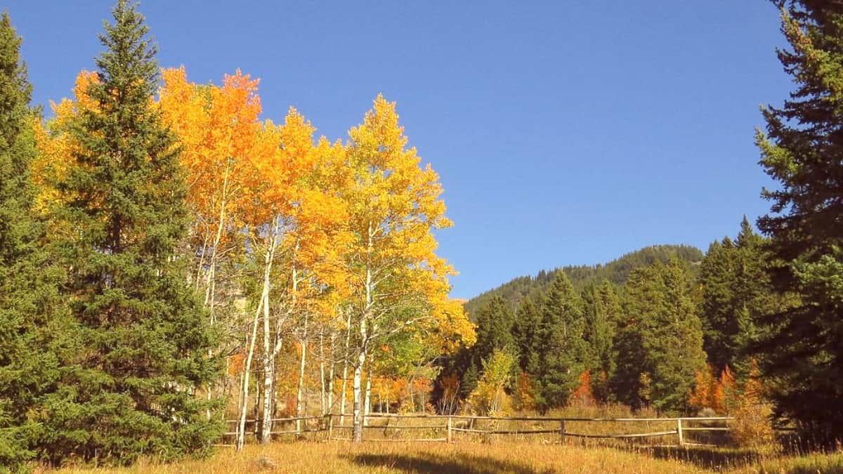Where to Stay in Bighorn Mountains
