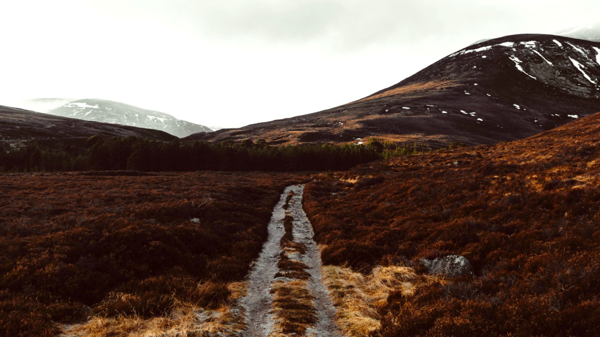 Scotland