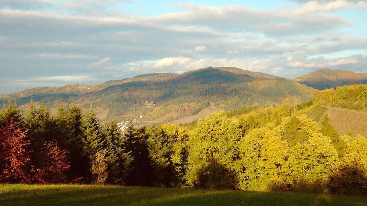 Black Forest