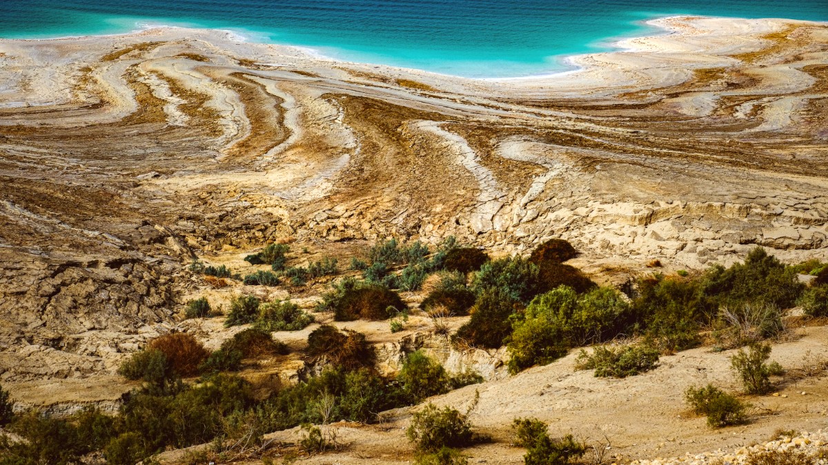 The Dead Sea