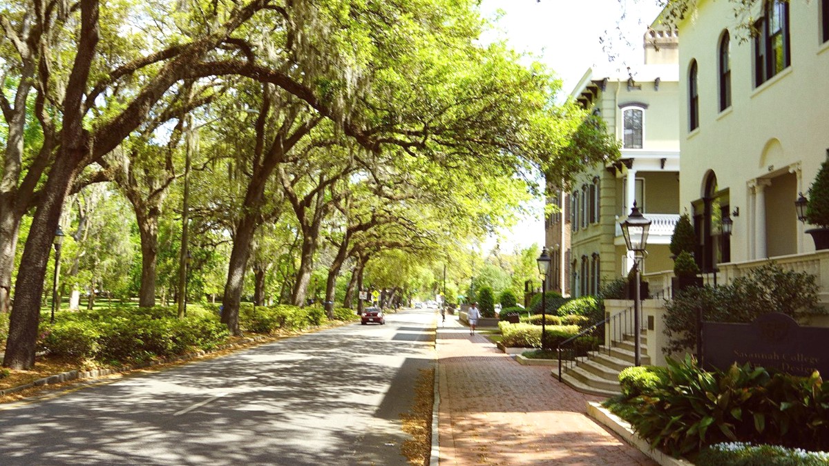 Savannah