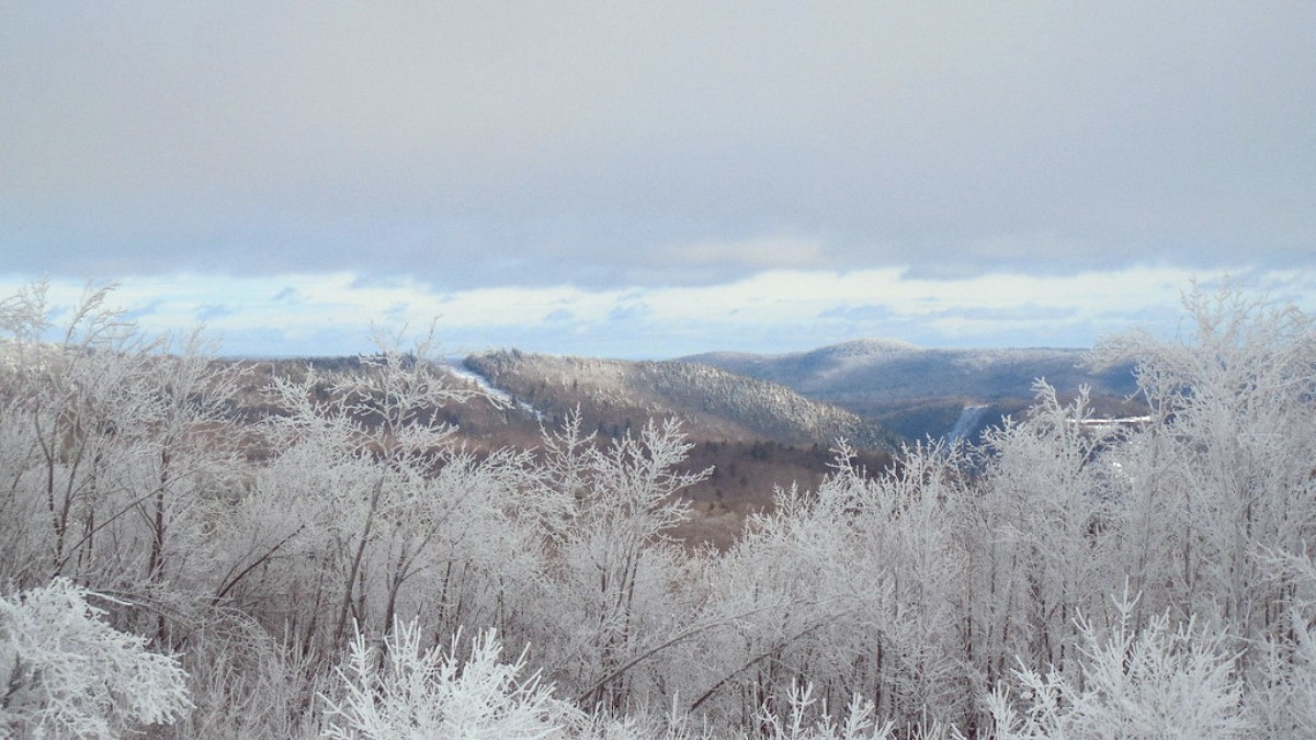 Berkshires