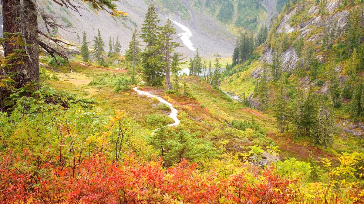 Kamchatka