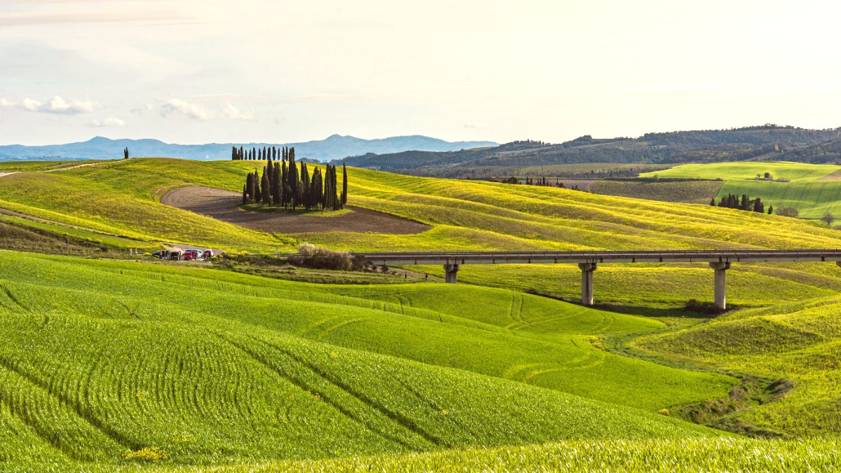 Arezzo