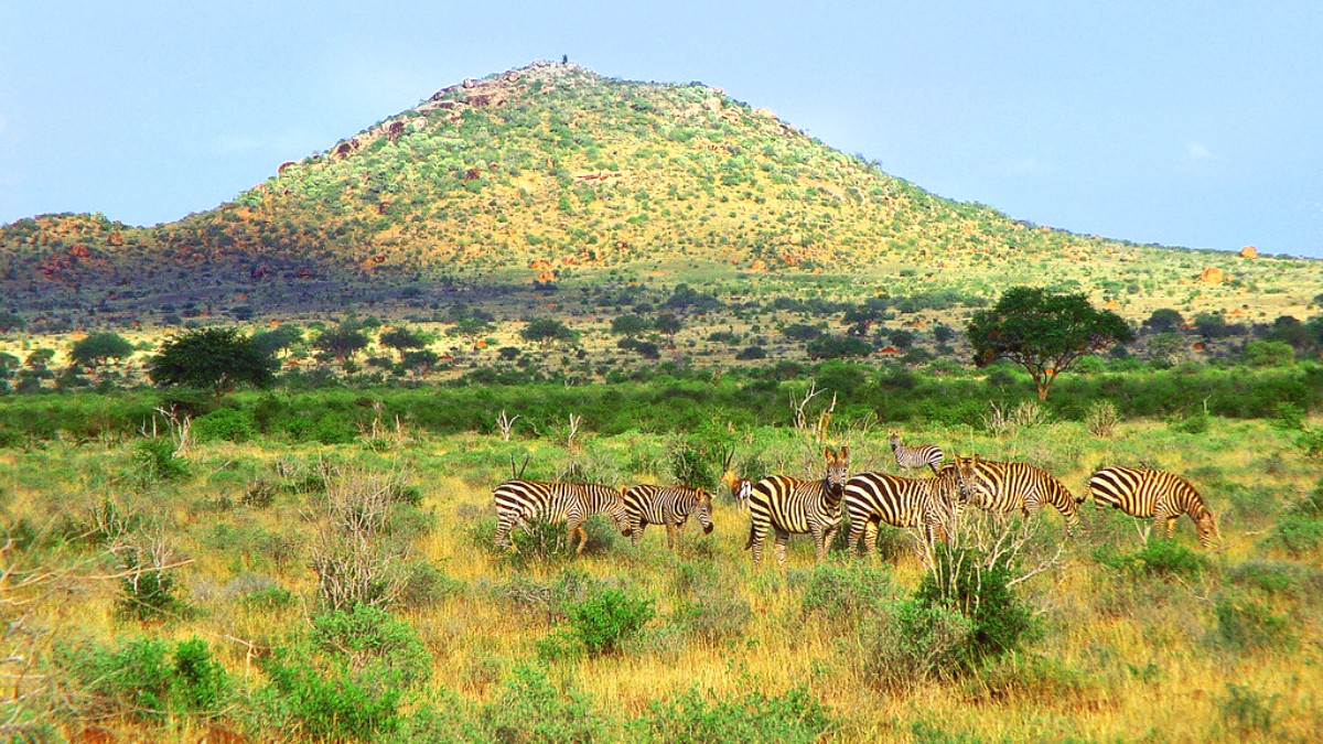 Kenya
