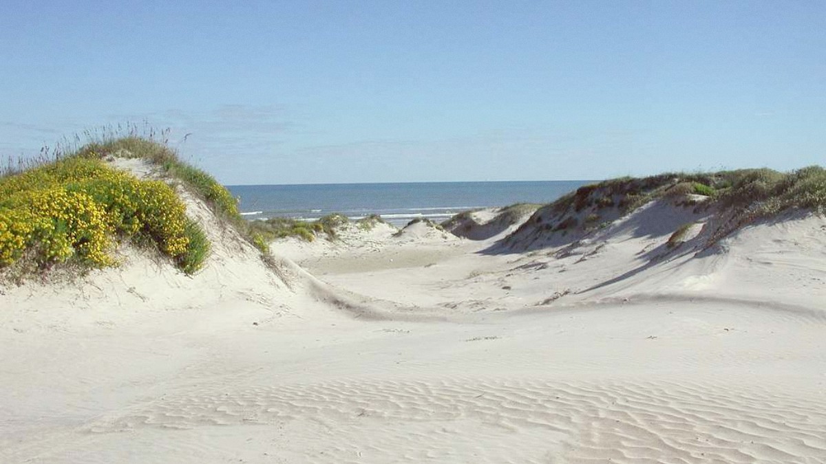 Padre Island
