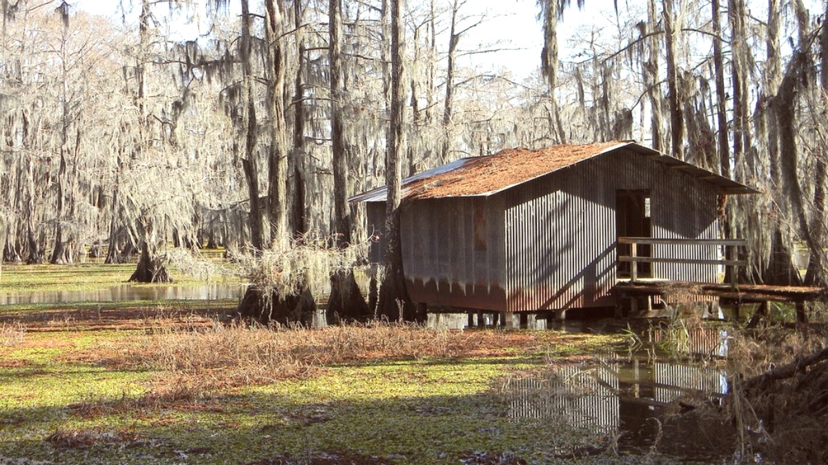 Cajun Country