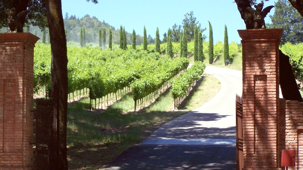 Napa Valley