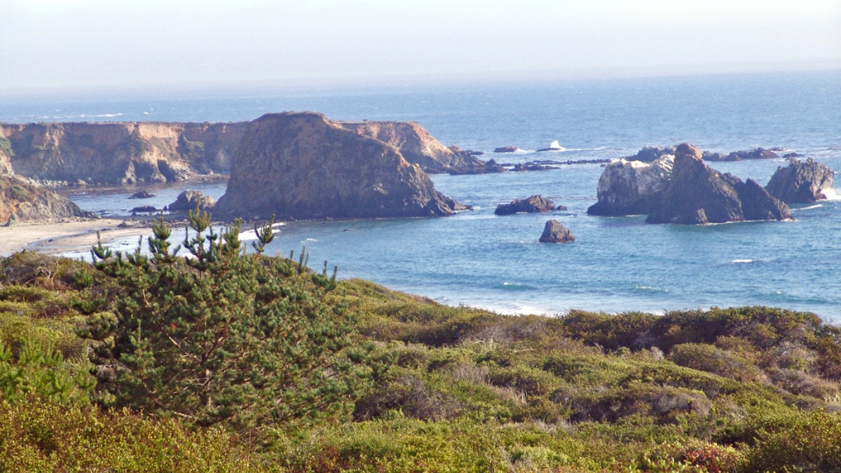 Mendocino Coast