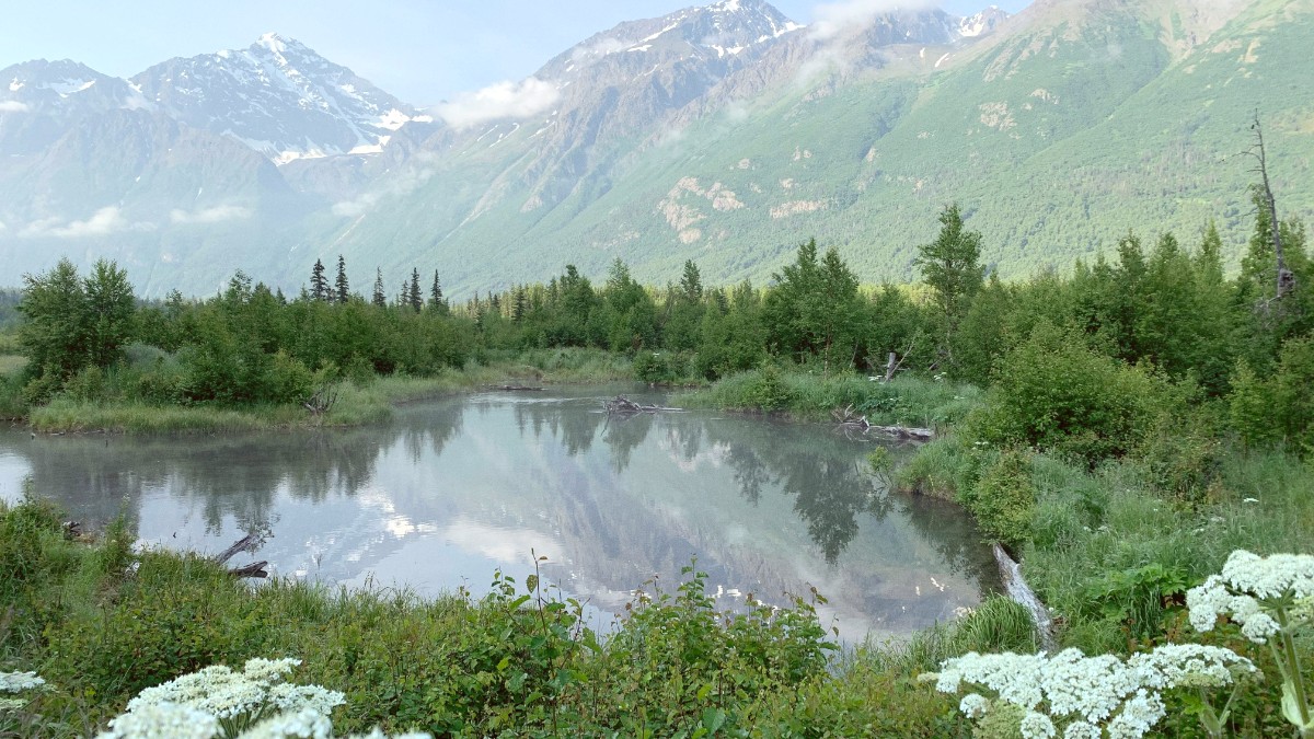 Anchorage