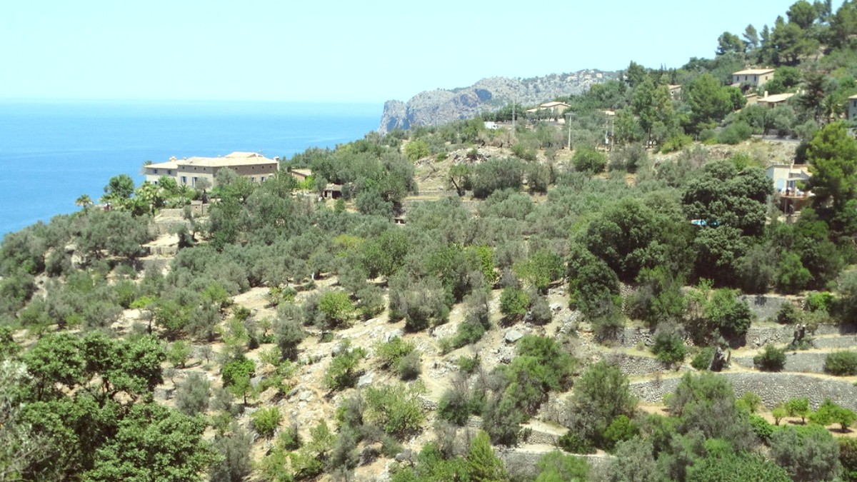 Soller