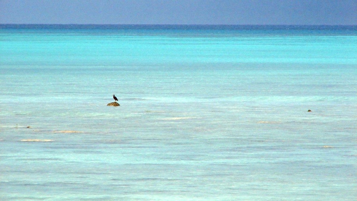 Andaman And Nicobar Islands