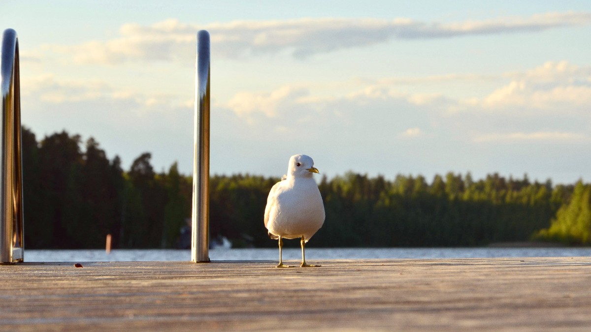 Southwestern Finland