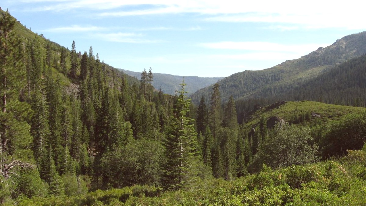 Gold Country