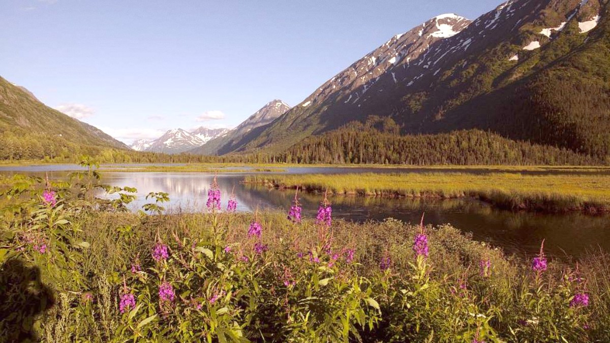 Seward