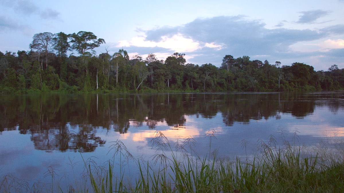 The Guianas