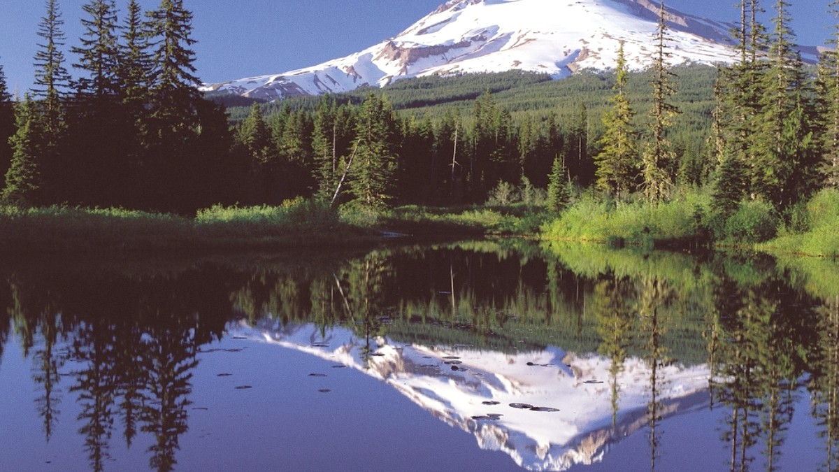 Mount Hood Territory