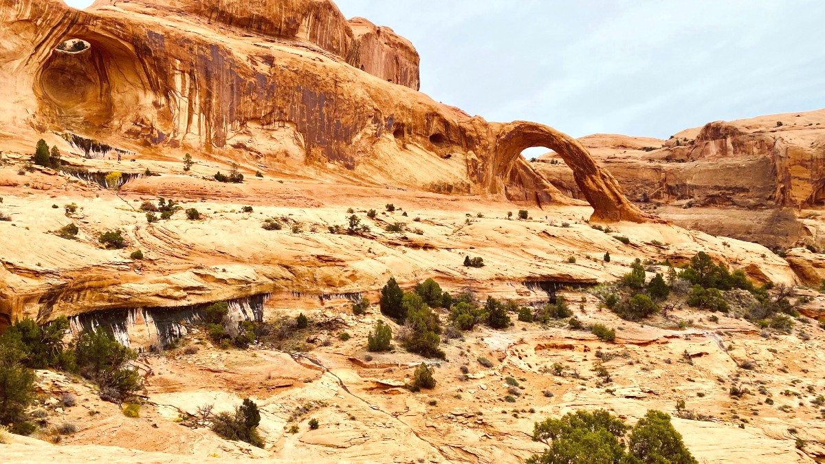 Moab