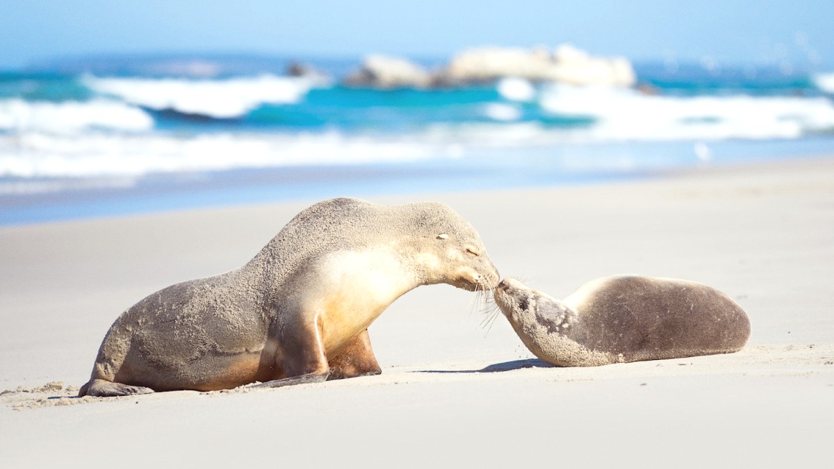 South Australia