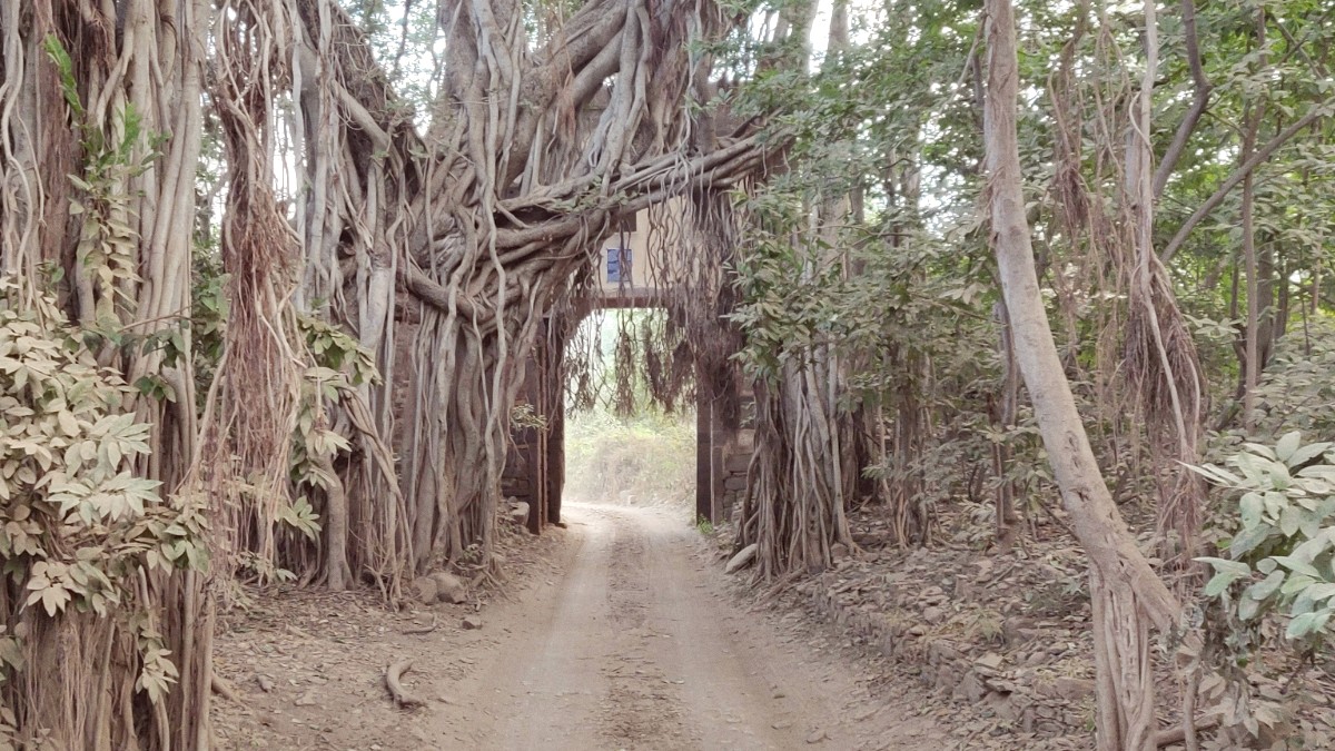 Ranthambore National Park
