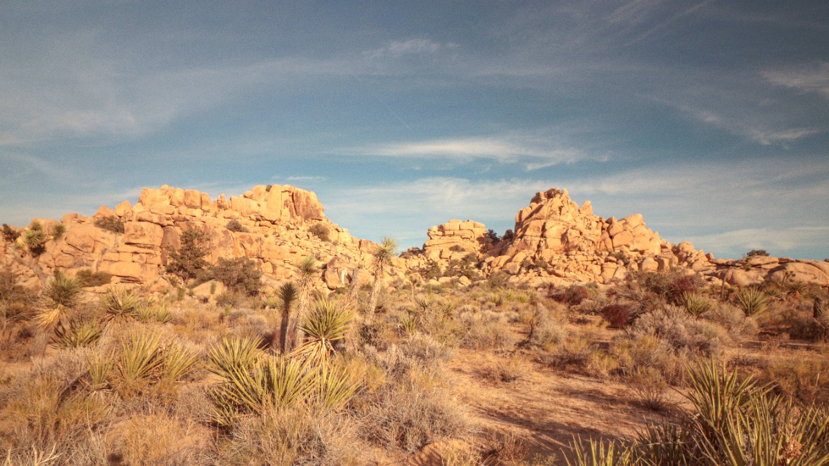 Joshua Tree National Park