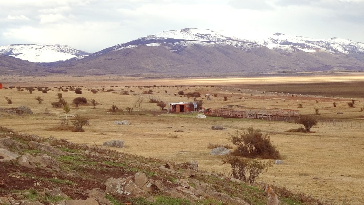 Patagonia