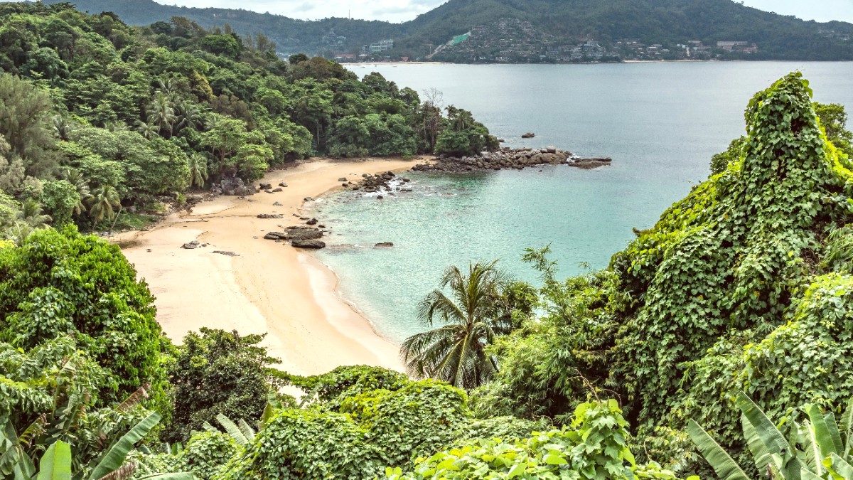 Patong