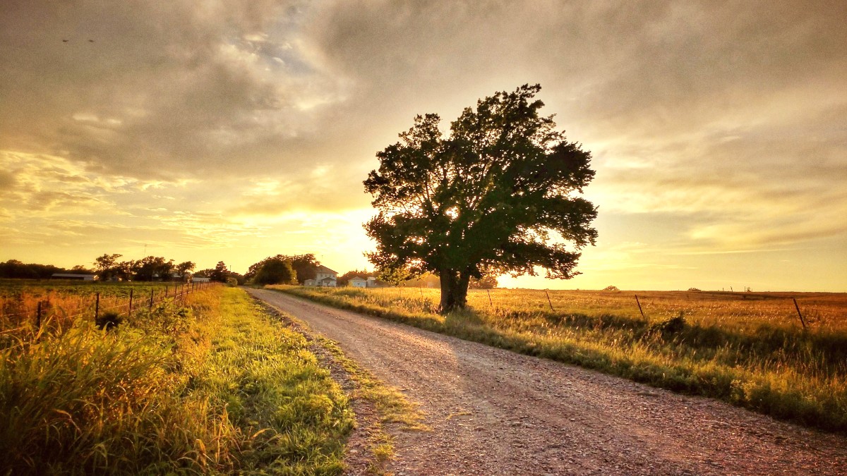 Kansas