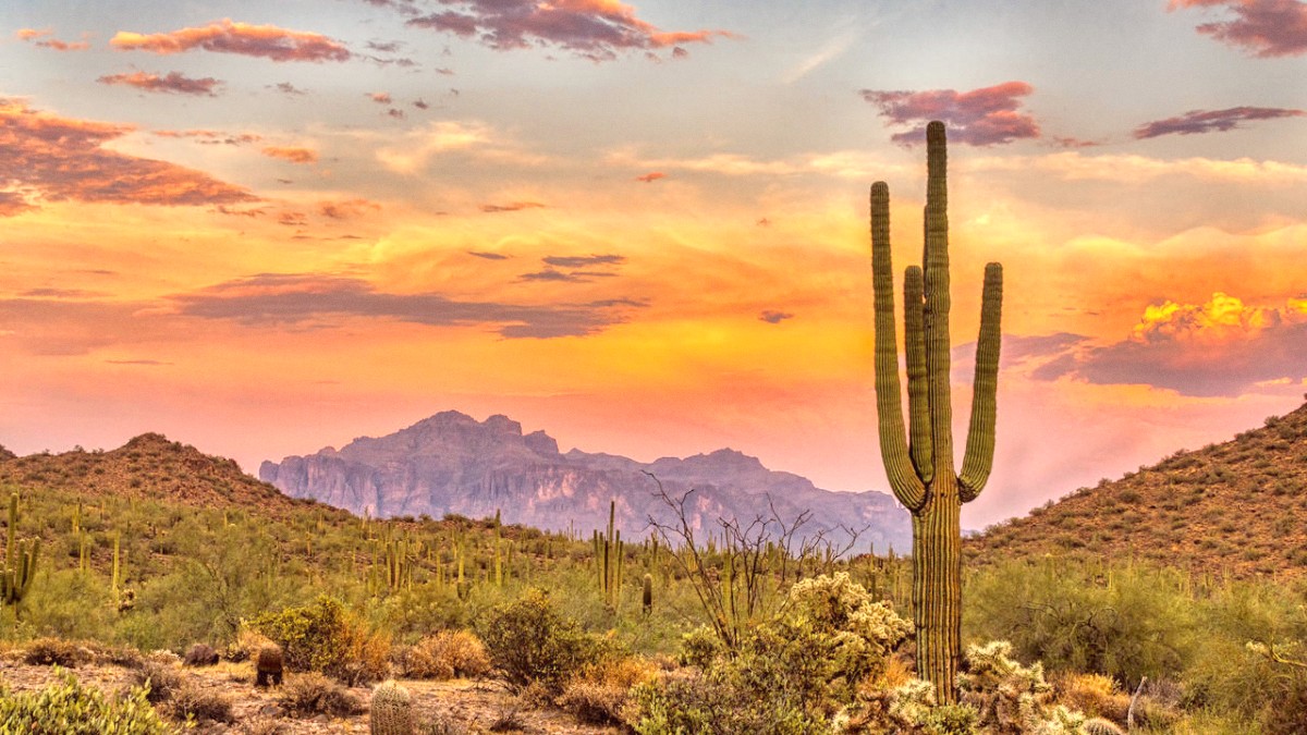 Tucson
