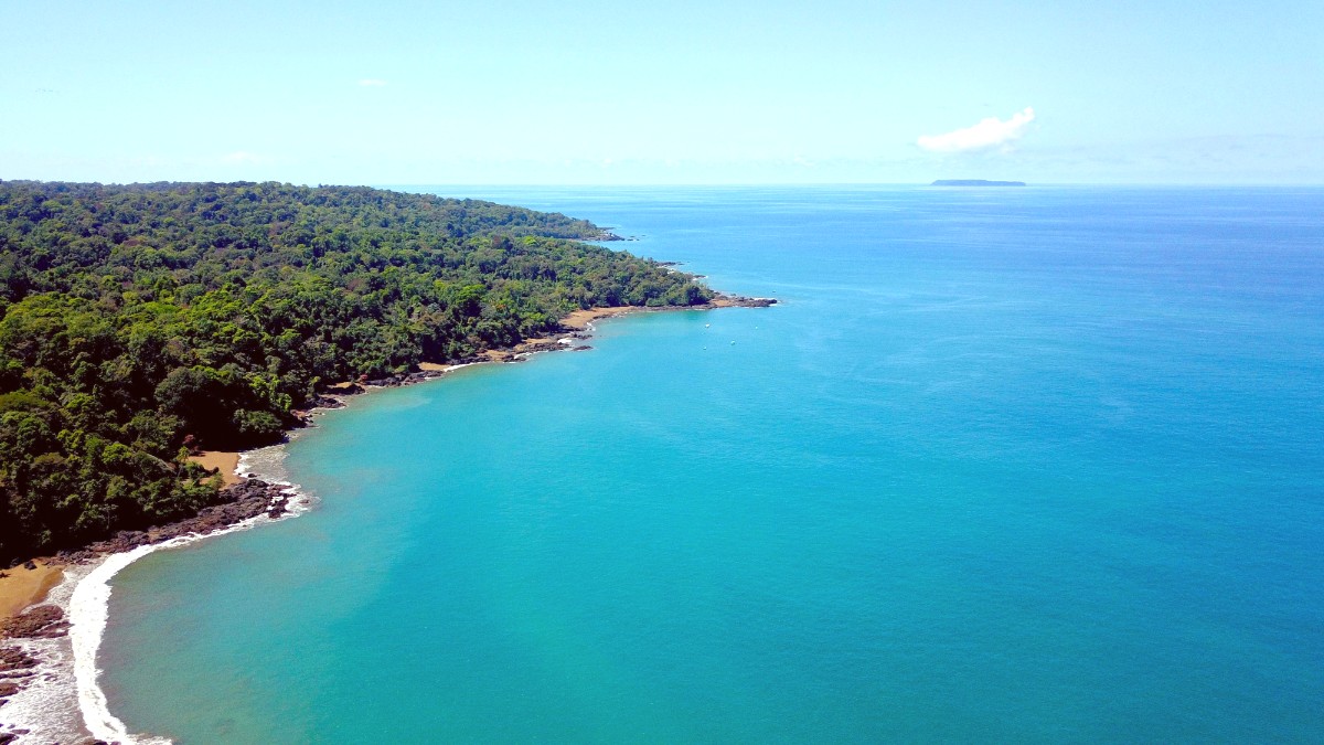 Uvita