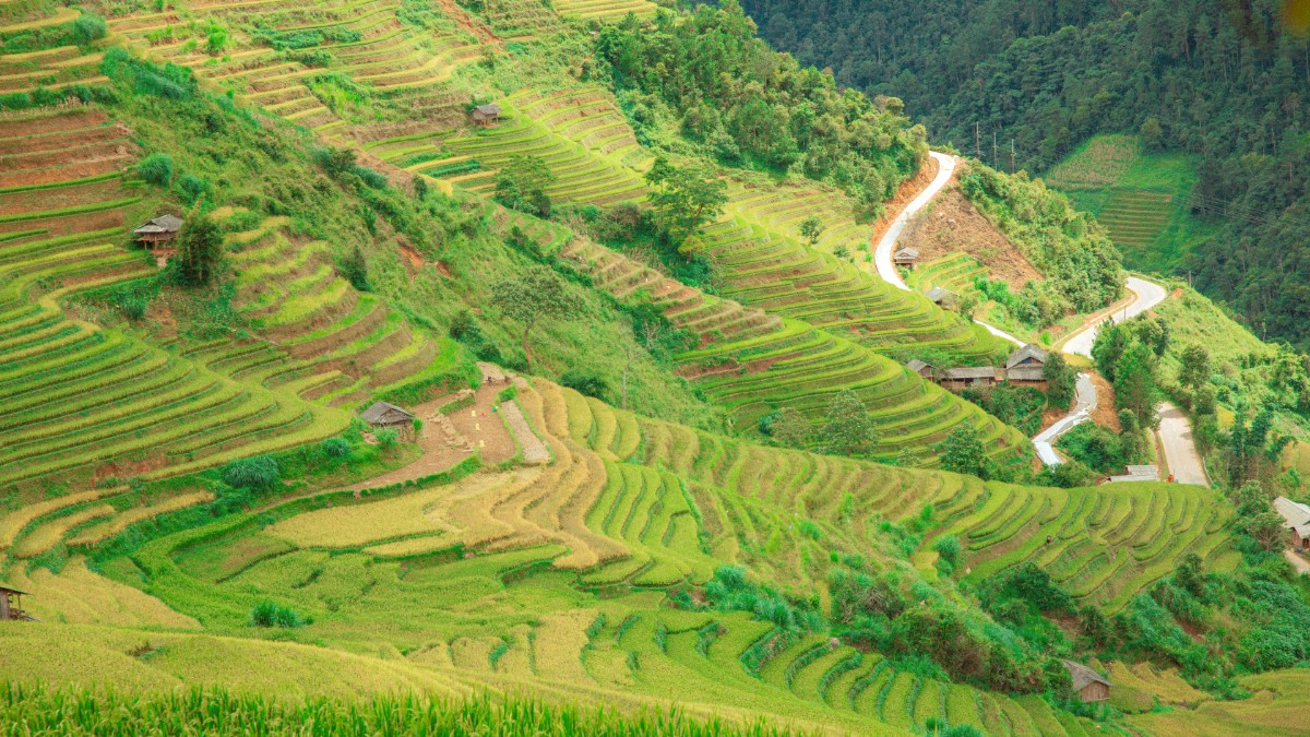 Northwest Vietnam